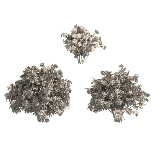 3 Red Rose Flower Bush Low Poly