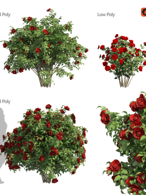 3 Red Rose Flower Bush Low Poly