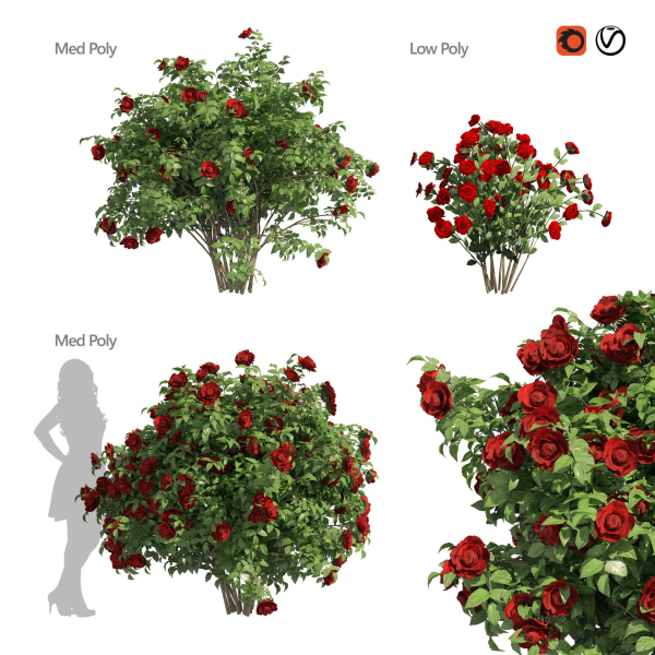 3 Red Rose Flower Bush Low Poly