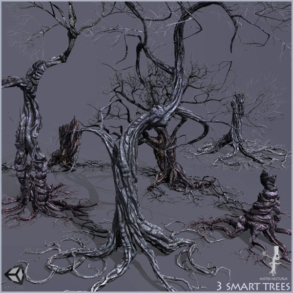 3 Smart Ancient Trees