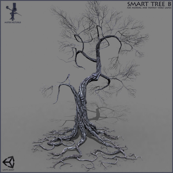 3 Smart Ancient Trees