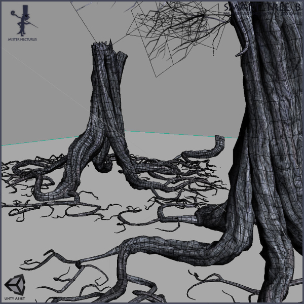 3 Smart Ancient Trees