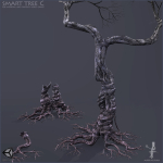 3 Smart Ancient Trees
