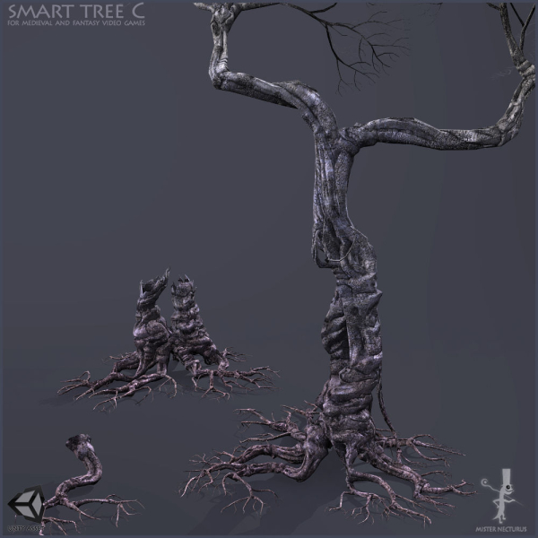 3 Smart Ancient Trees