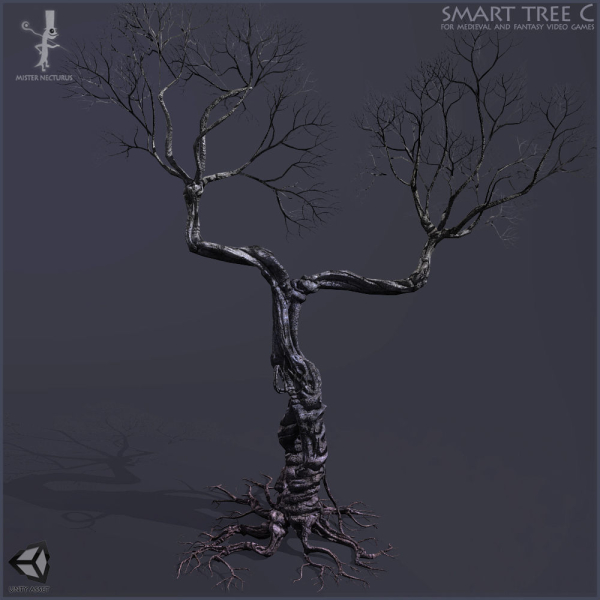 3 Smart Ancient Trees