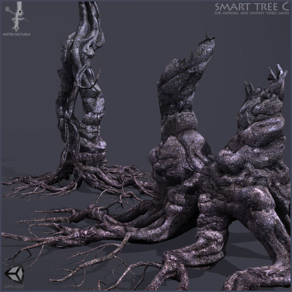 3 Smart Ancient Trees