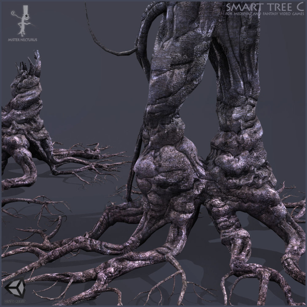 3 Smart Ancient Trees