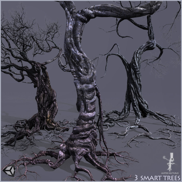 3 Smart Ancient Trees