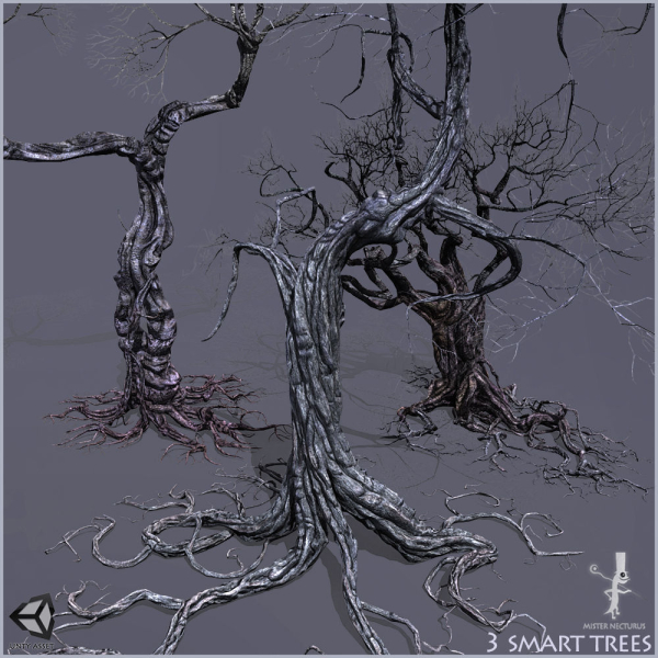 3 Smart Ancient Trees