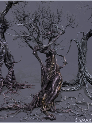 3 Smart Ancient Trees