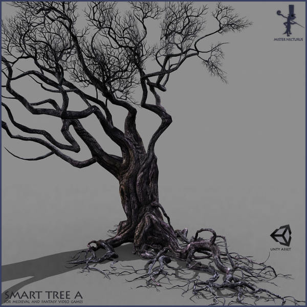 3 Smart Ancient Trees