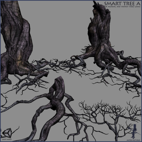 3 Smart Ancient Trees