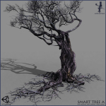 3 Smart Ancient Trees