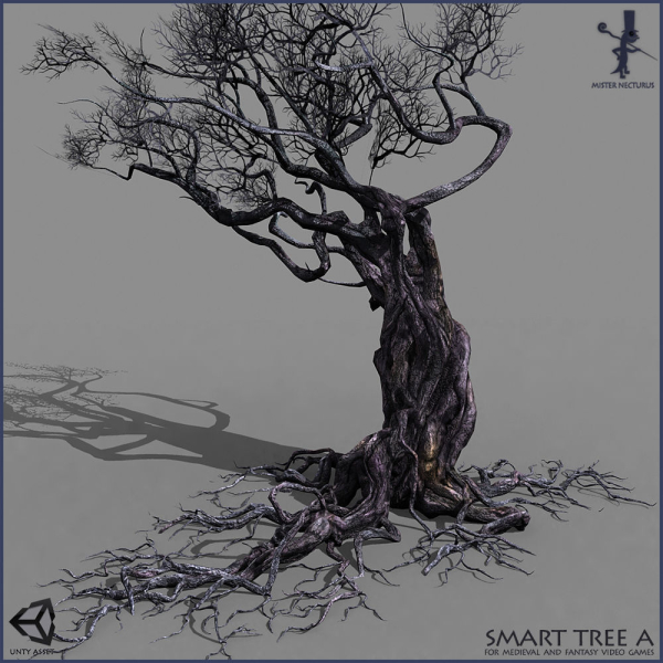 3 Smart Ancient Trees