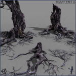 3 Smart Ancient Trees