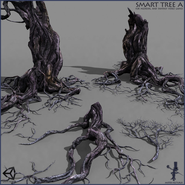 3 Smart Ancient Trees
