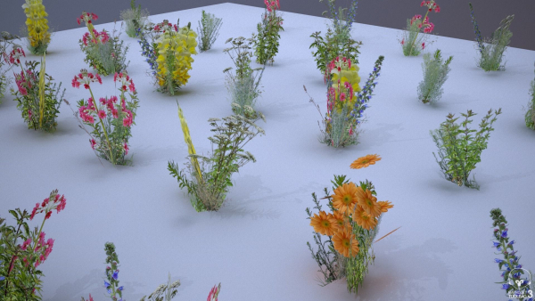 33 Plant Collection Game Ready Low Poly