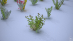 33 Plant Collection Game Ready Low Poly
