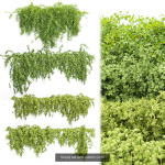 37 Hanging plant models collection