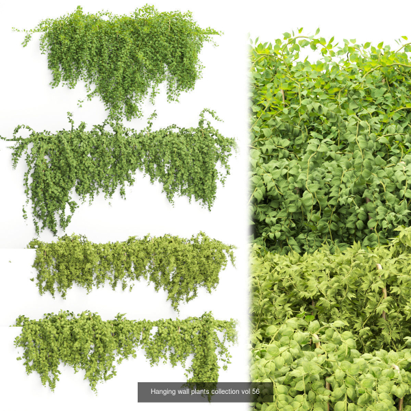 37 Hanging plant models collection