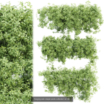 37 Hanging plant models collection