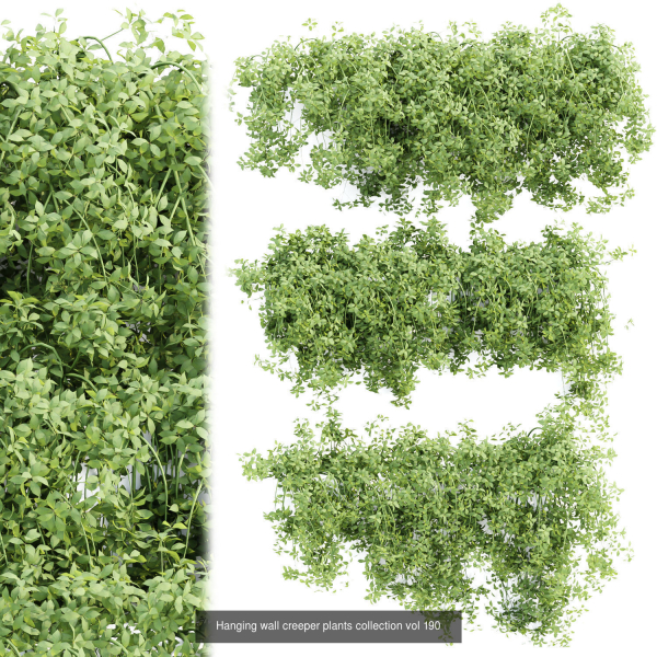37 Hanging plant models collection