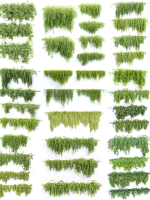 37 Hanging plant models collection