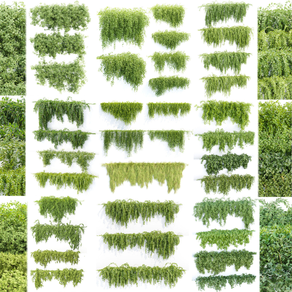37 Hanging plant models collection