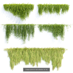37 Hanging plant models collection