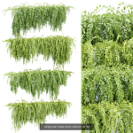 37 Hanging plant models collection