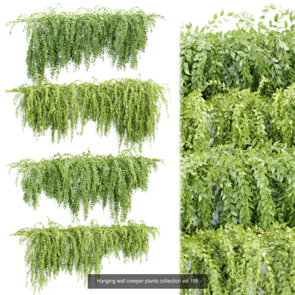 37 Hanging plant models collection