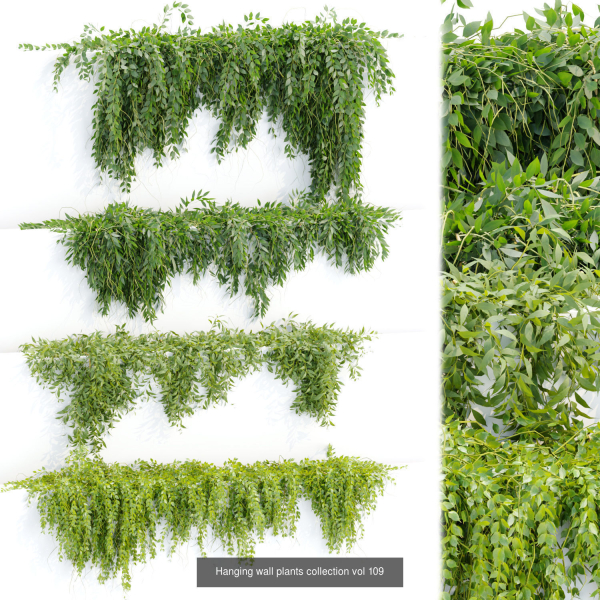 37 Hanging plant models collection