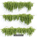 37 Hanging plant models collection