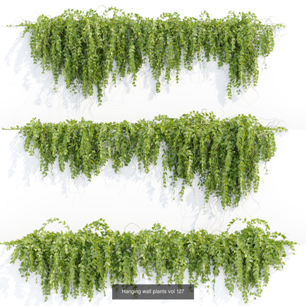 37 Hanging plant models collection