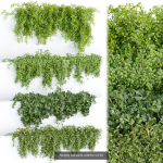 37 Hanging plant models collection