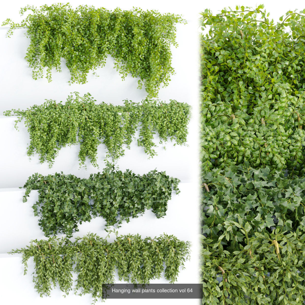 37 Hanging plant models collection