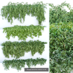 37 Hanging plant models collection