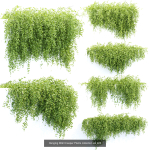 37 Hanging plant models collection