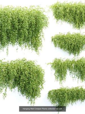 37-hanging-plant-models-collection-3d-model-e333edad1b