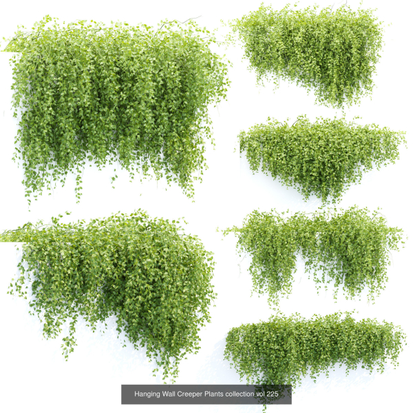 37 Hanging plant models collection