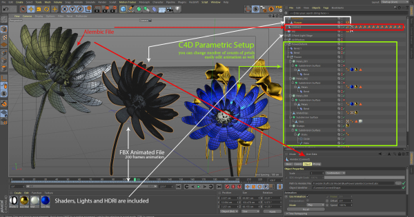 3d Blue Flower Animated