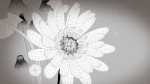 3d Blue Flower Animated