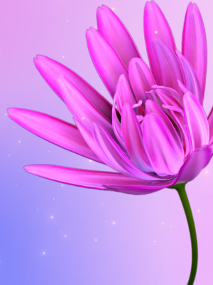 3d-daisy-flower-animated-3d-model-animated-rigged-obj-fbx-c4d-abc