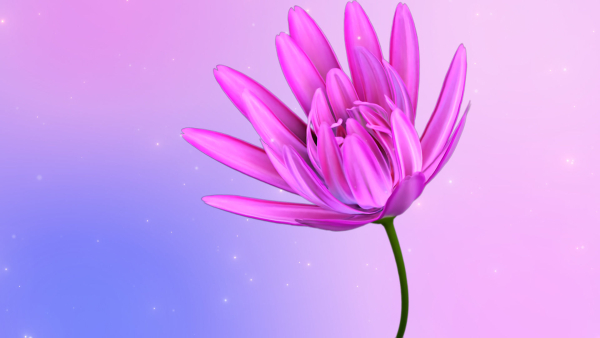 3d Daisy Flower Animated