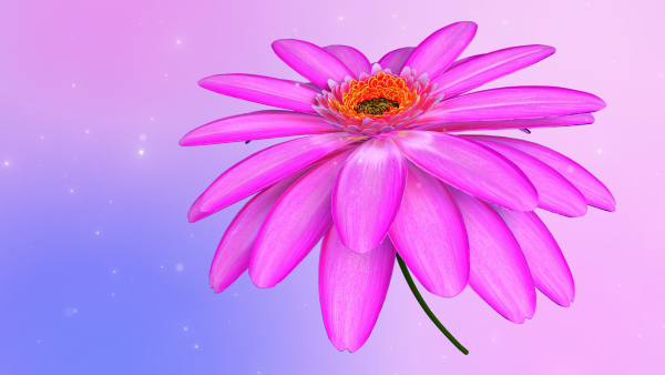 3d Daisy Flower Animated