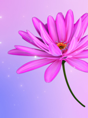 3d Daisy Flower Animated