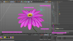 3d Daisy Flower Animated