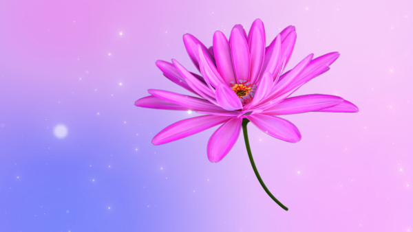 3d Daisy Flower Animated