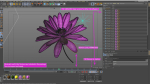 3d Daisy Flower Animated