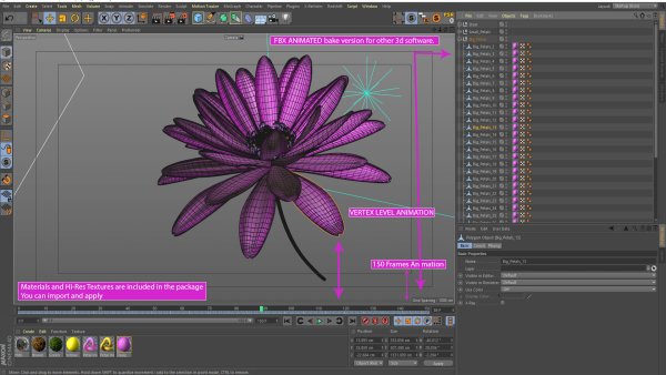 3d Daisy Flower Animated